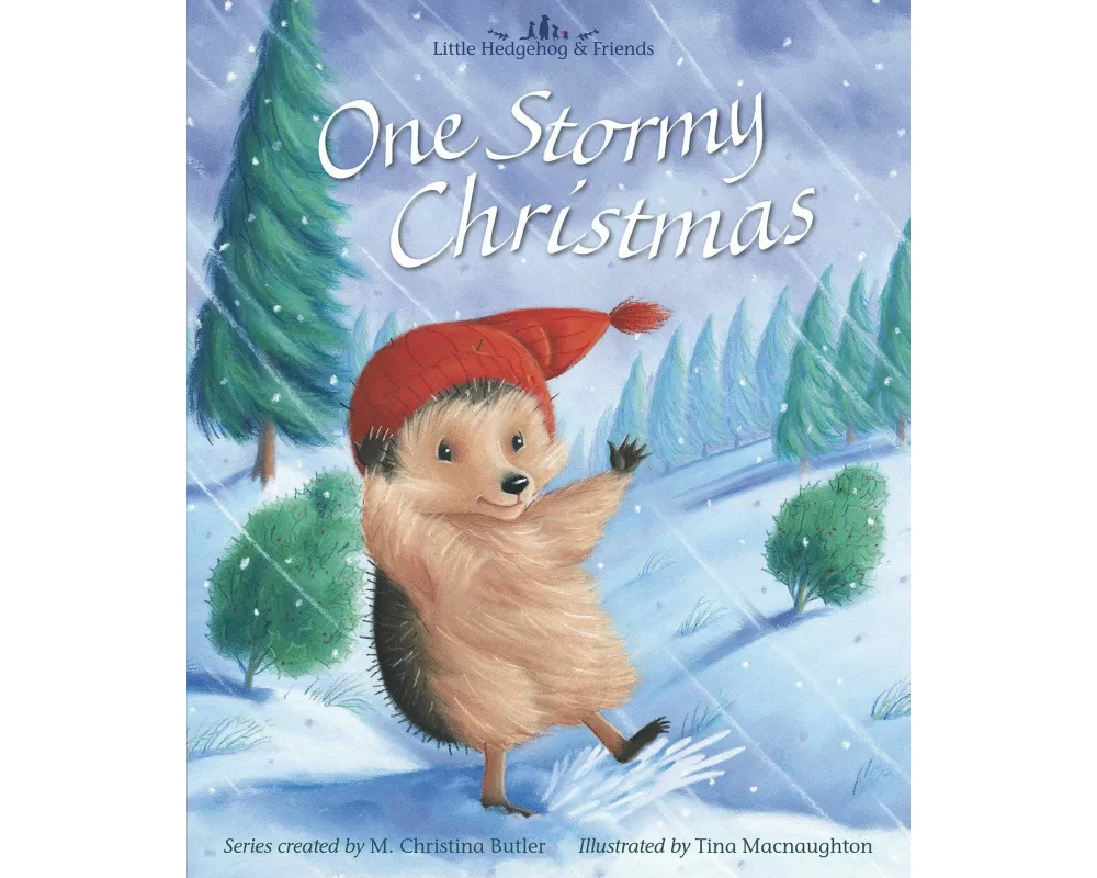 One Stormy Christmas
