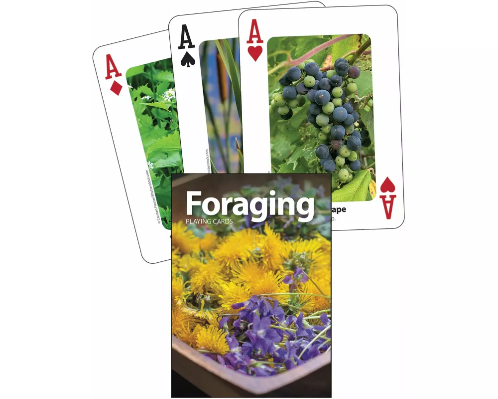 Foraging Playing Cards