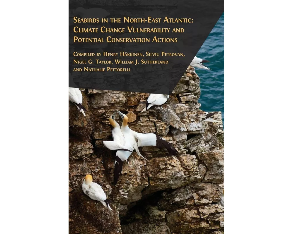 Seabirds in the North-East Atlantic