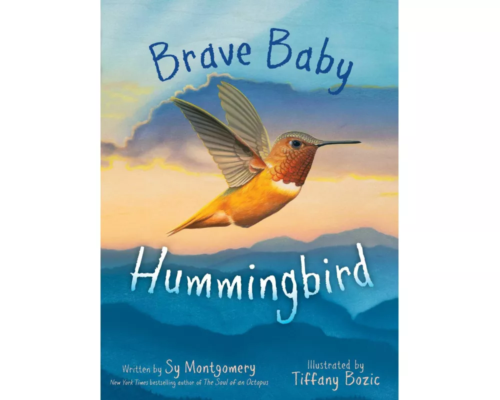 Brave Baby Hummingbird