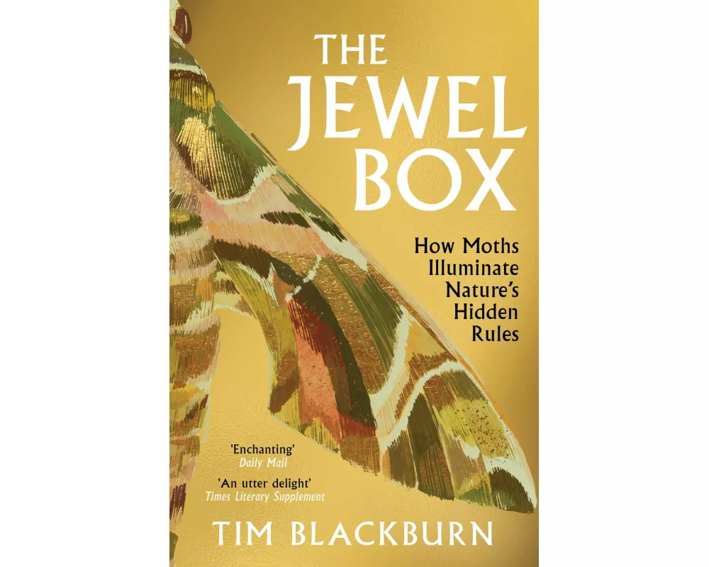 The Jewel Box