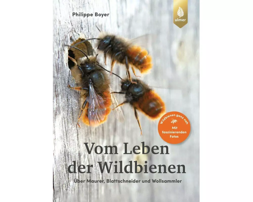 Vom Leben der Wildbienen