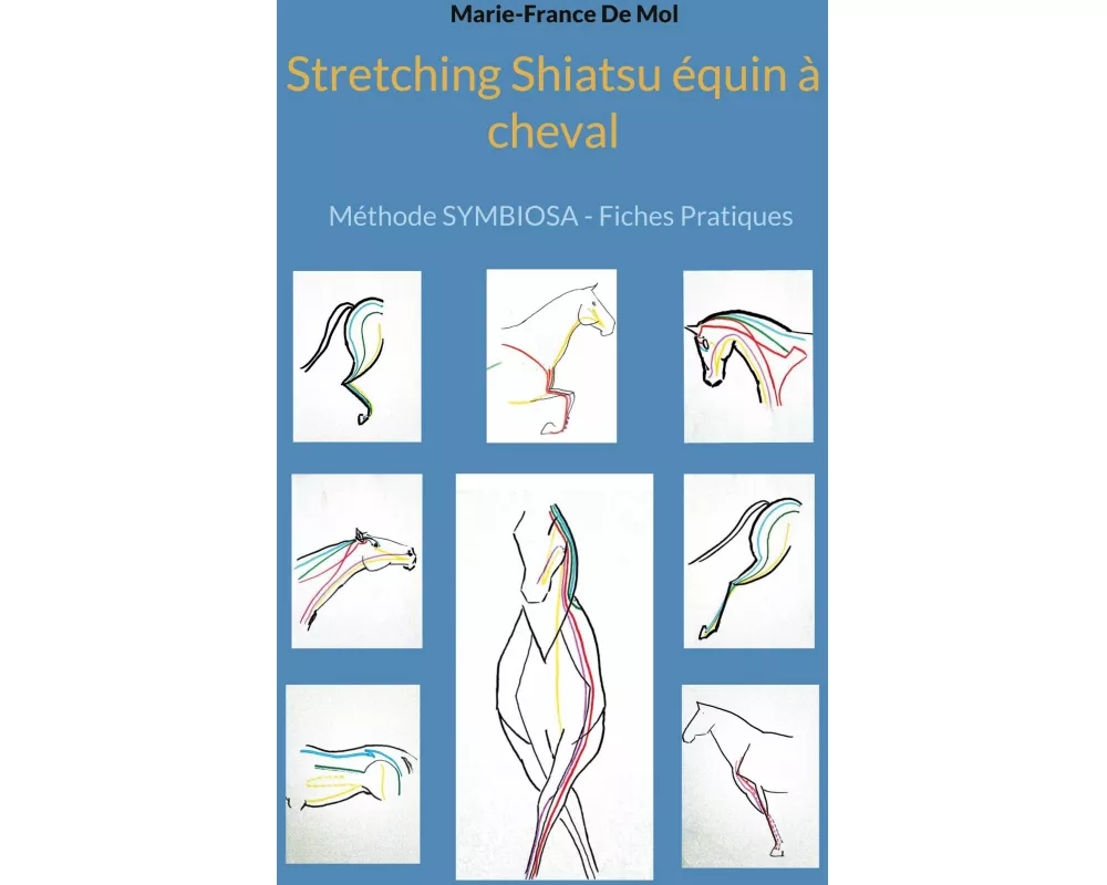 Stretching Shiatsu équin à cheval
