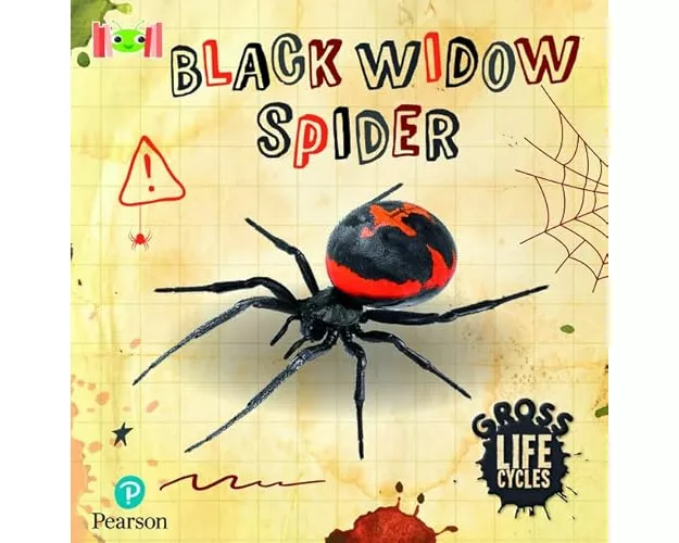 Bug Club Reading Corner: Age 5-7: Gross Lifecycles: Black Widow Spider