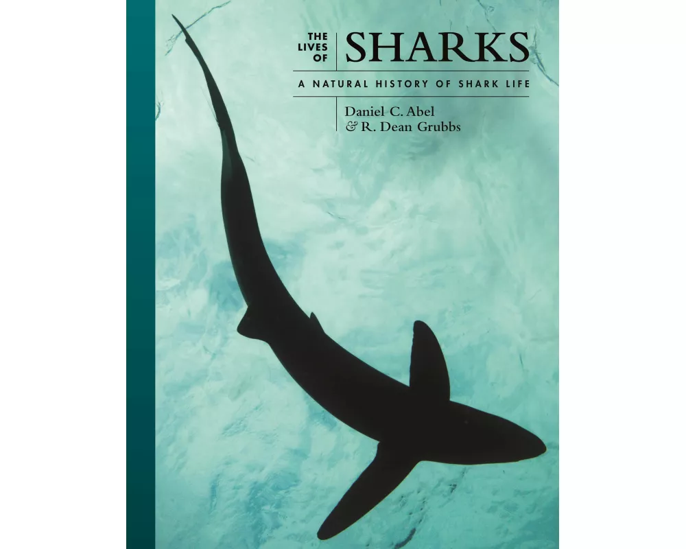 The Lives of Sharks