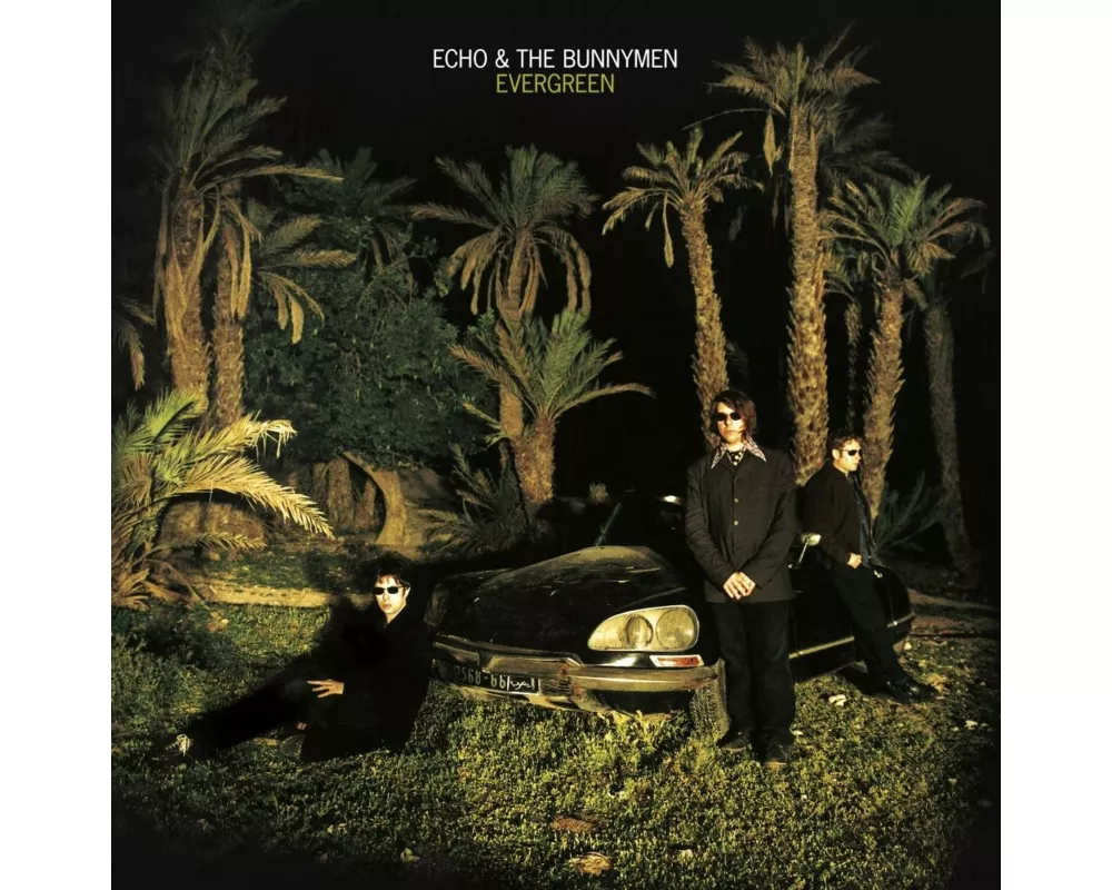 Evergreen (Standard Edition)