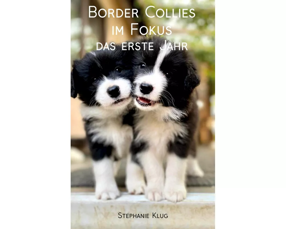 Border Collies im Fokus - das erste Jahr