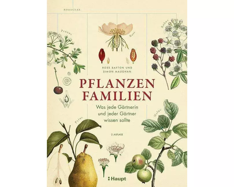 Pflanzenfamilien