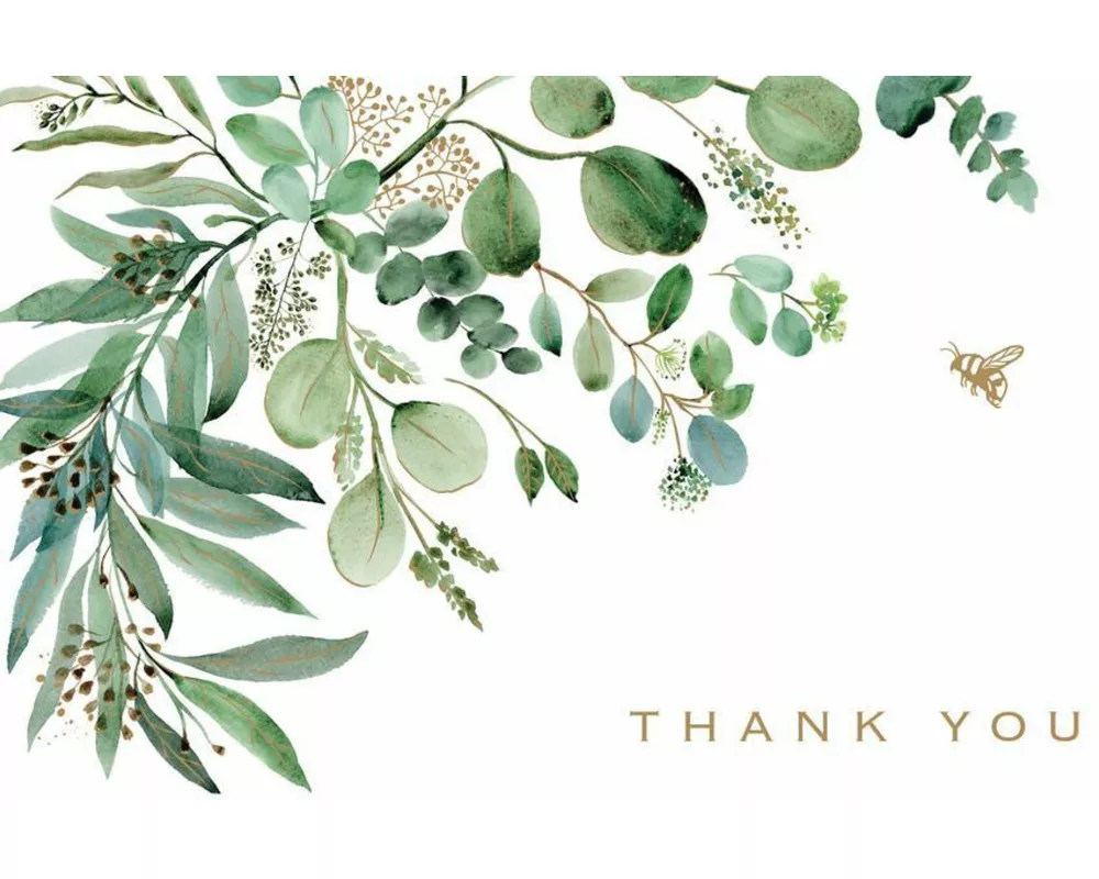 Eucalyptus Thank You Note Cards (14 Cards, 15 Self-Sealing Envelopes)