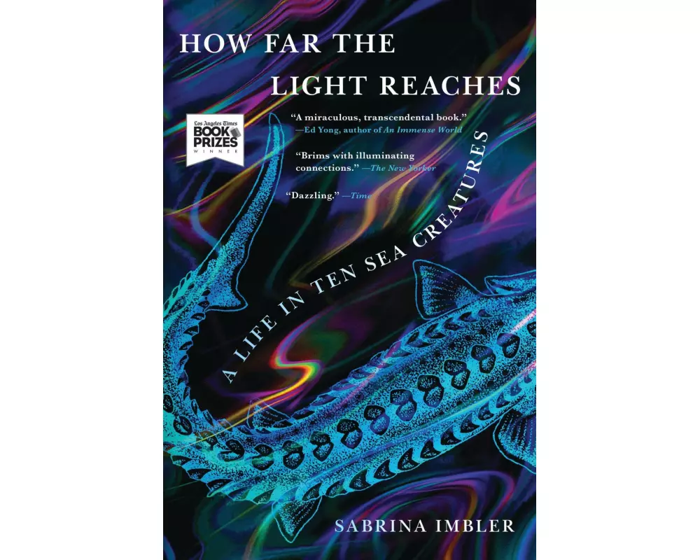 How Far the Light Reaches