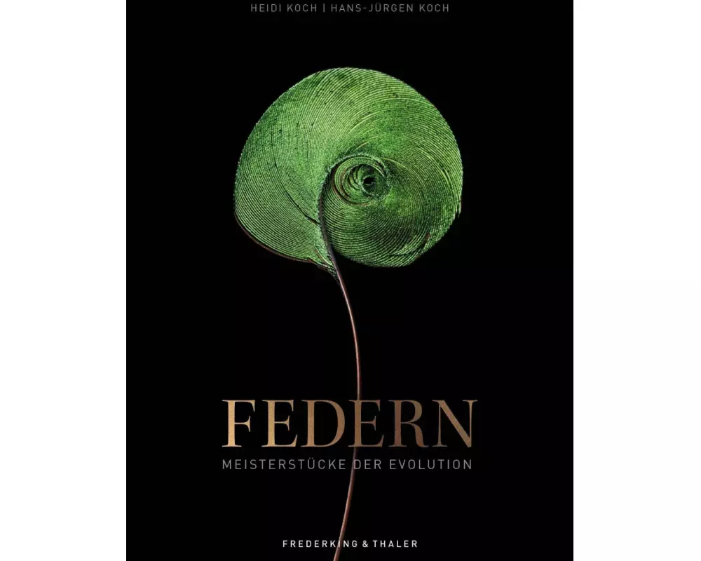 Federn