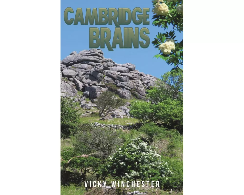 Cambridge Brains