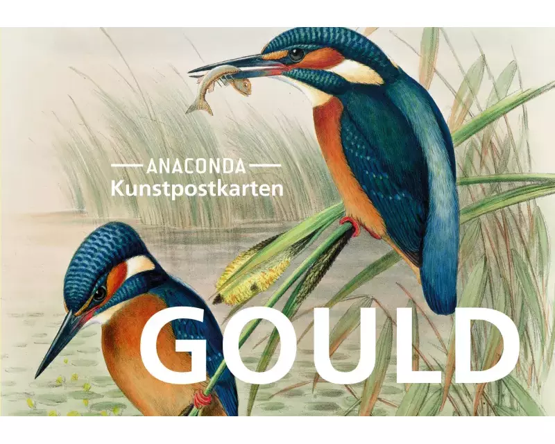 Postkarten-Set John Gould