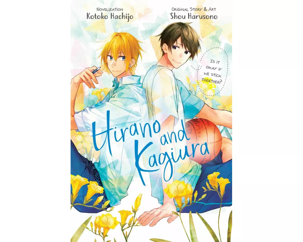 Hirano and Kagiura (novel)