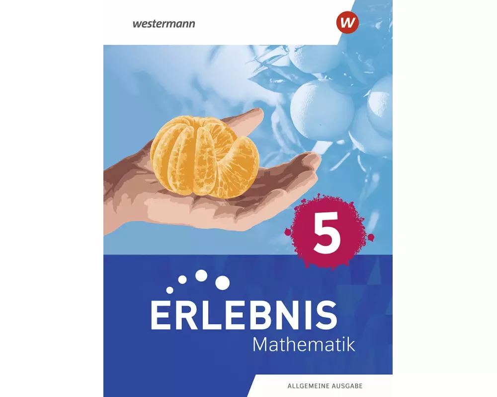 Erlebnis Mathematik - Ausgabe N. Schulbuch 5