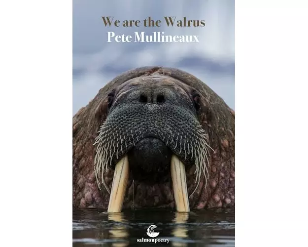 We Are the Walrus