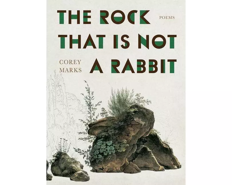 The Rock That is Not a Rabbit