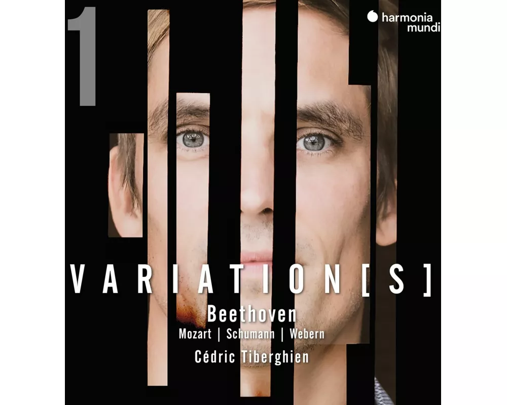 Beethoven: Complete Variations for Piano,Vol. 1
