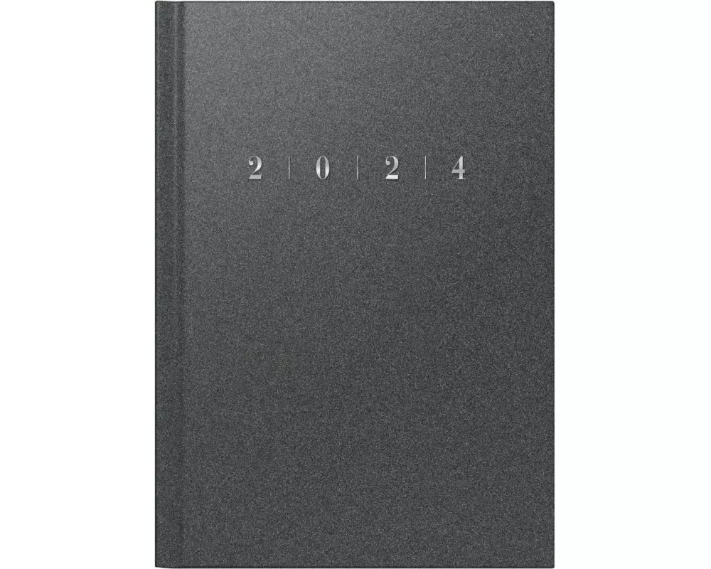 rido/idé 7023013804 Wochenkalender Buchkalender 2024 Modell studioplan int. 2 Seiten = 1 Woche Blattgröße 16,8 x 24 cm Kunststoff-Einband Reflectio