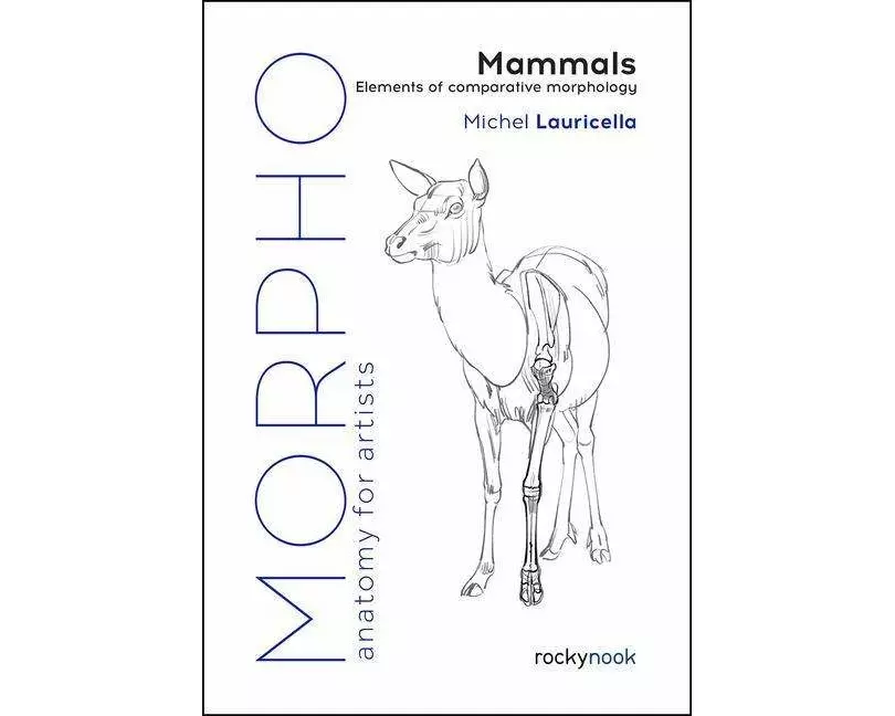 Morpho: Mammals
