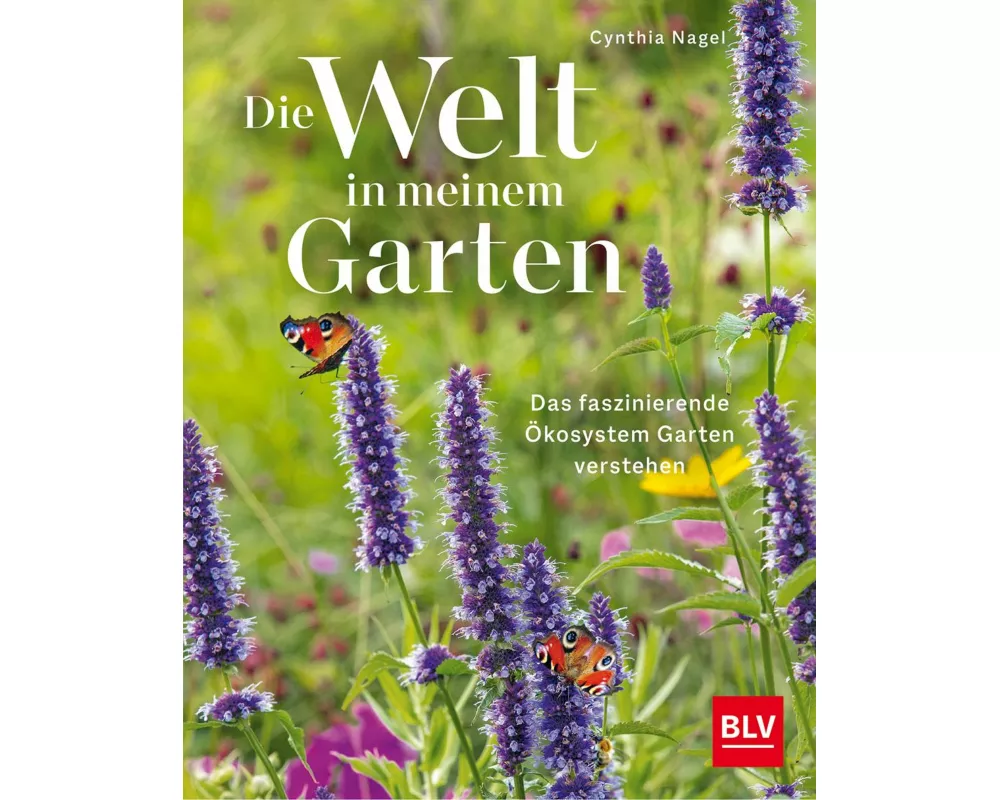 Die Welt in meinem Garten