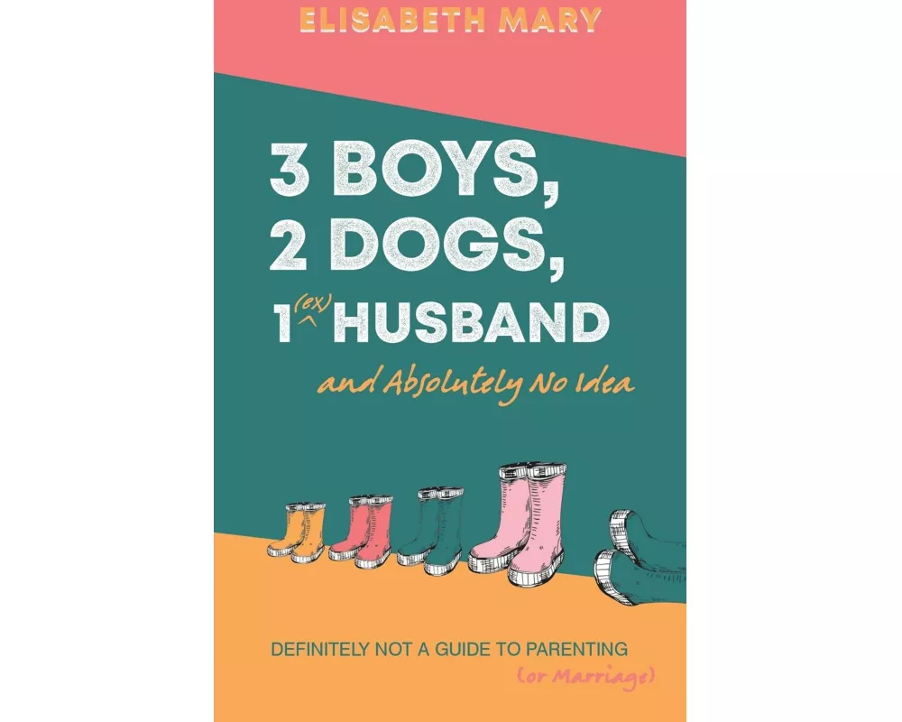 3 Boys, 2 Dogs, 1 (Ex) Husband and Absolutely No Idea