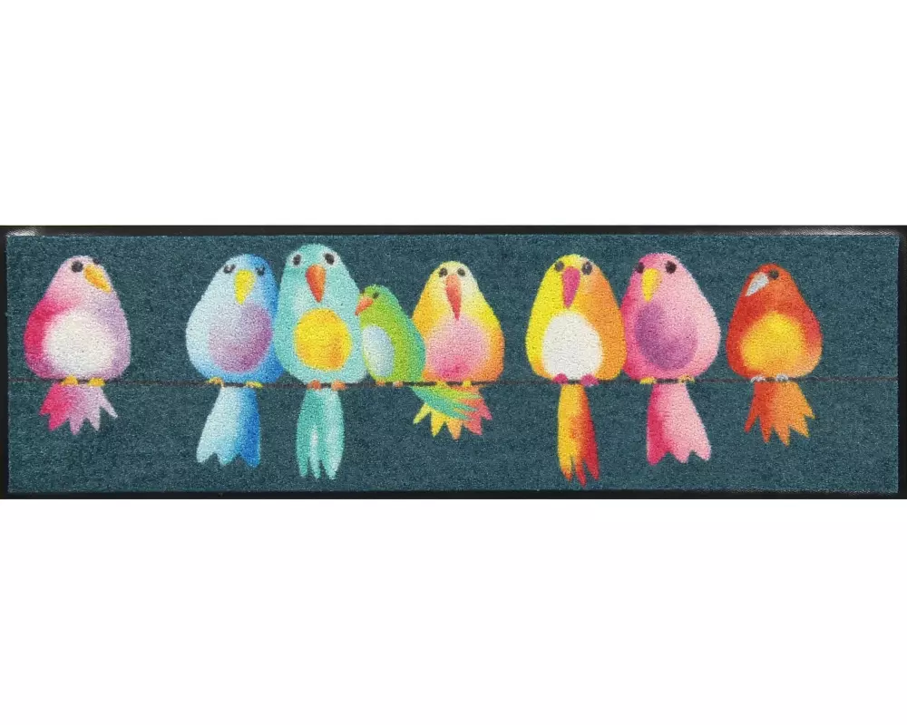 Salonlöwe Fussmatte Schuhgrösse Rainbow Birds 30 cm x 100 cm