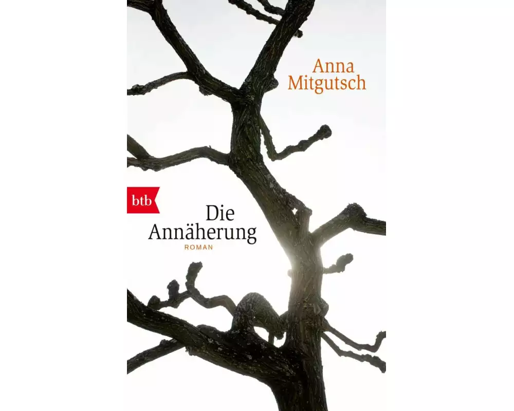 Die Annäherung