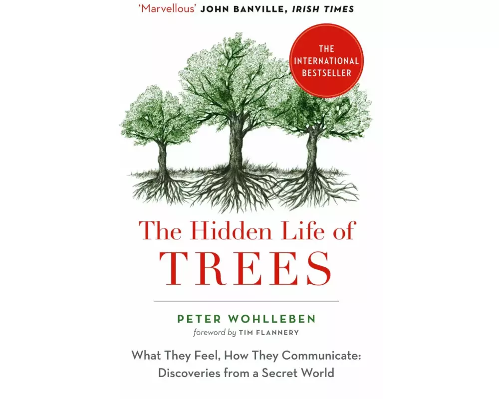 The Hidden Life of Trees