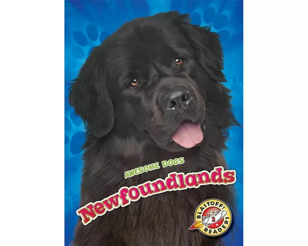 Newfoundlands