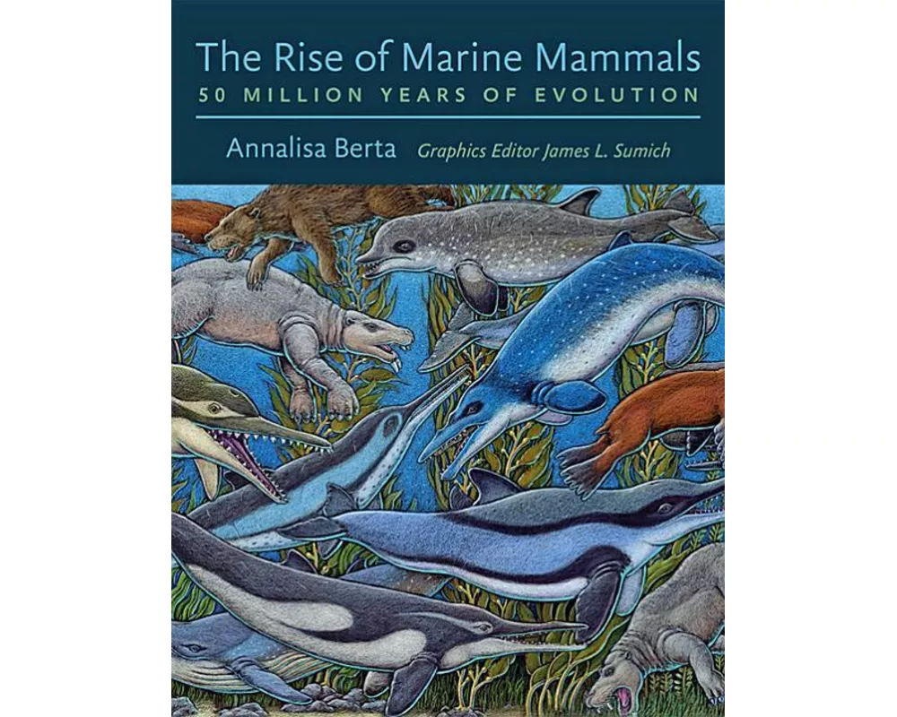 The Rise of Marine Mammals