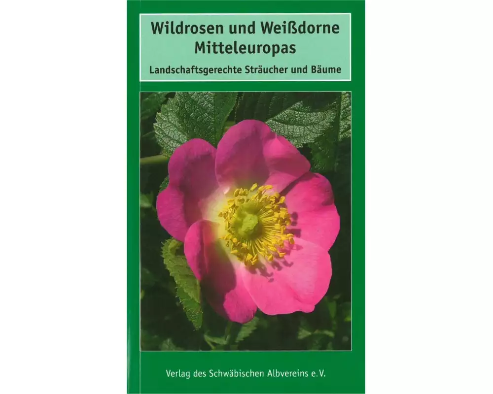Wildrosen und Weißdorne Mitteleuropas
