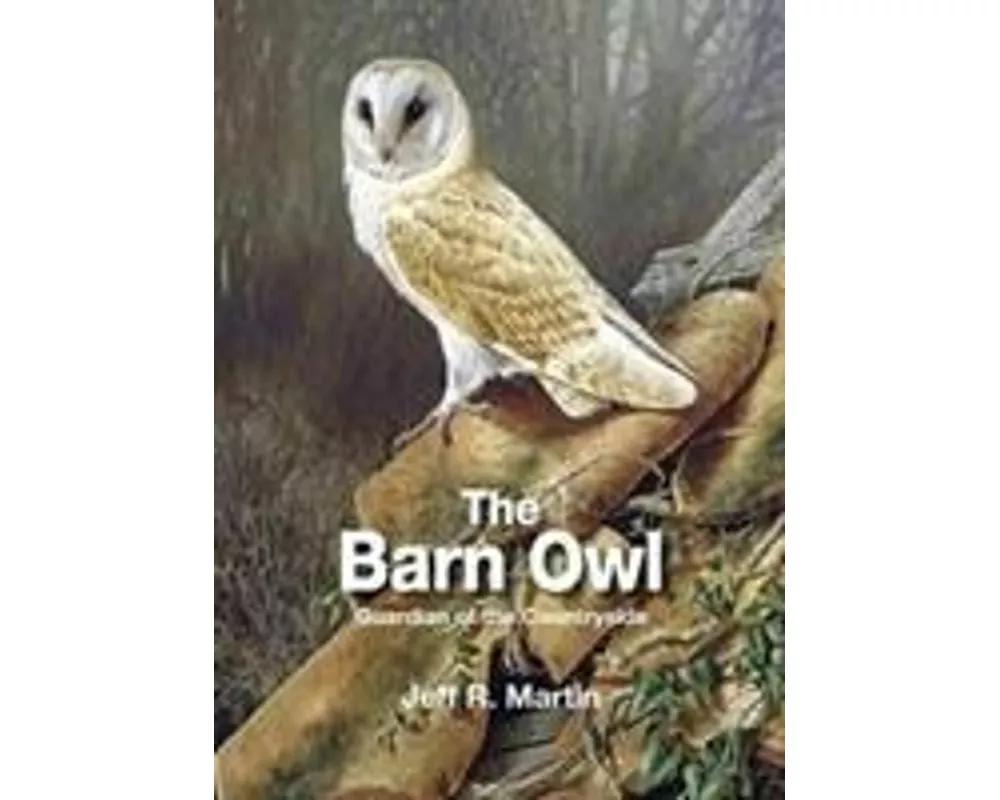 The Barn Owl