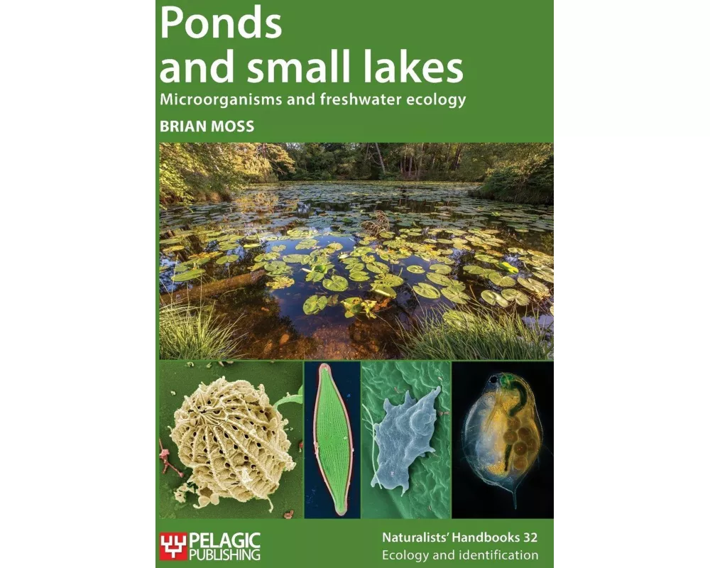 Ponds and Small Lakes