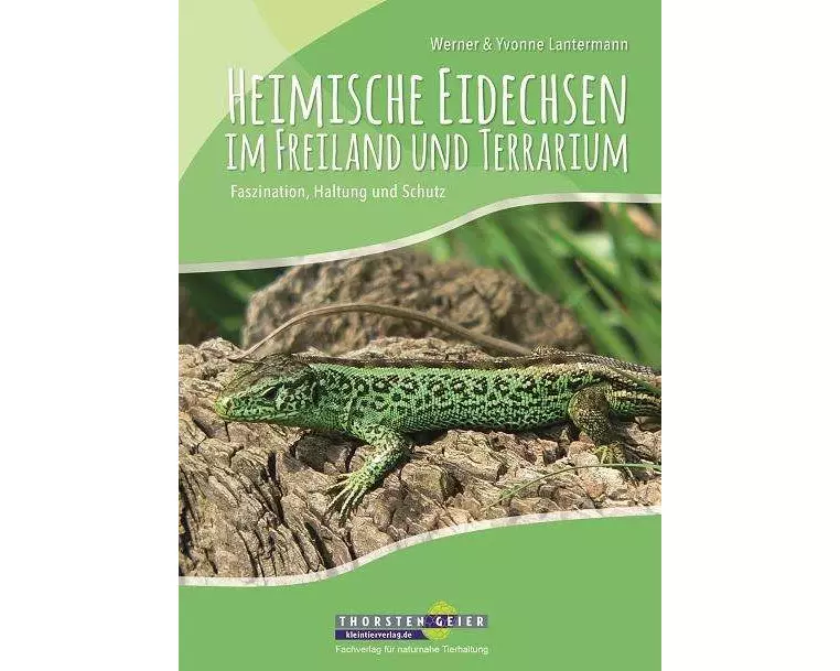 Heimische Eidechsen im Freiland und Terrarium