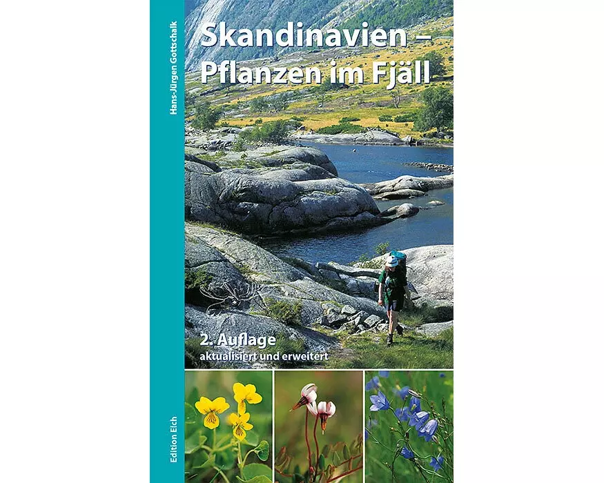 Skandinavien - Pflanzen im Fjäll