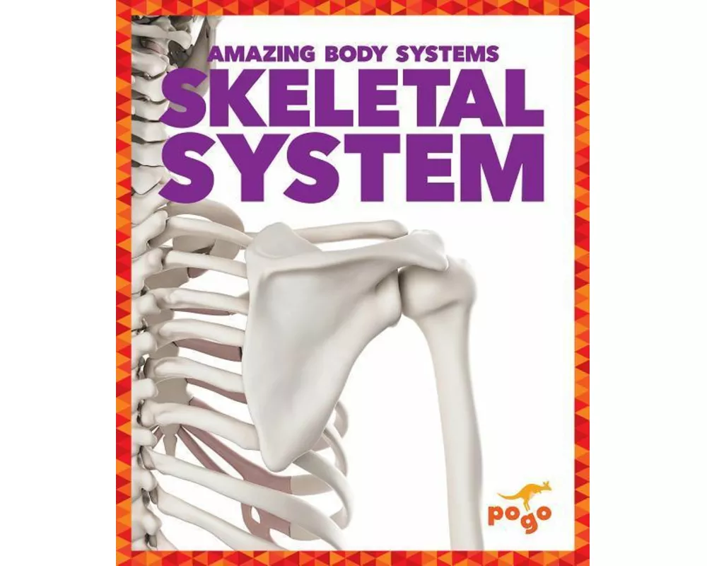 Skeletal System