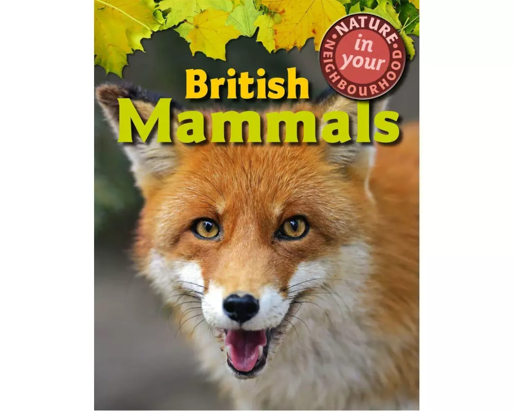 Nature in Your Neighbourhood: British Mammals