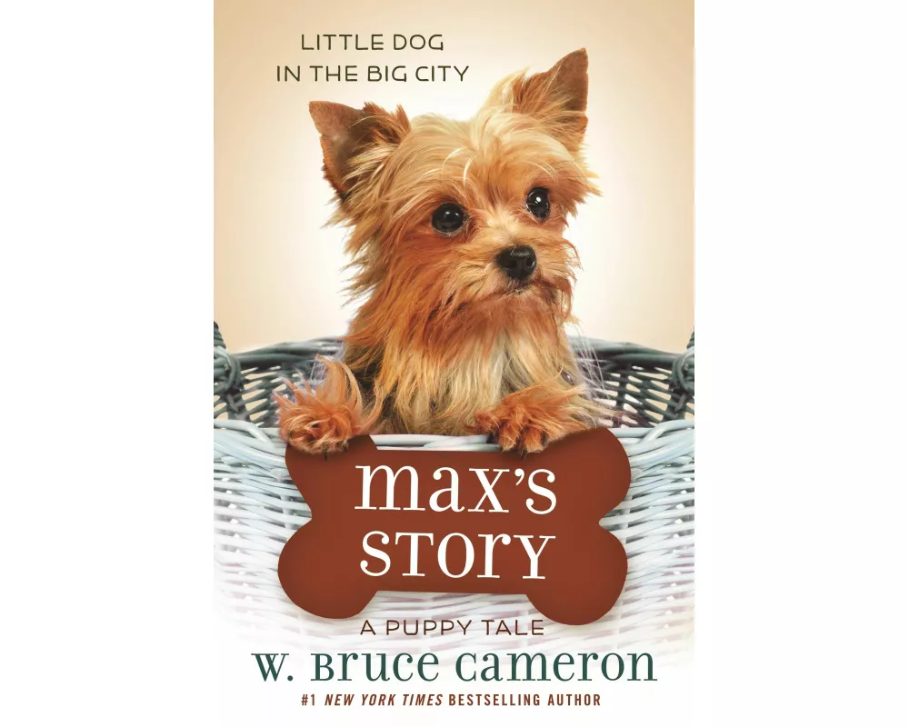 Max's Story