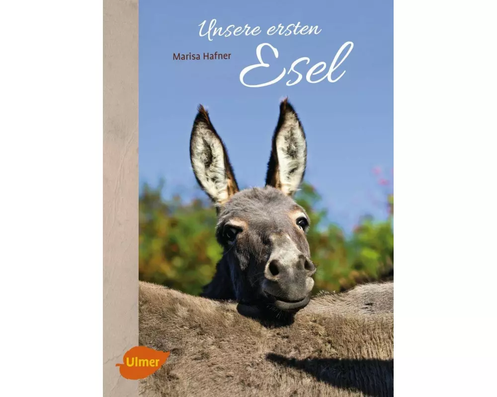 Unsere ersten Esel
