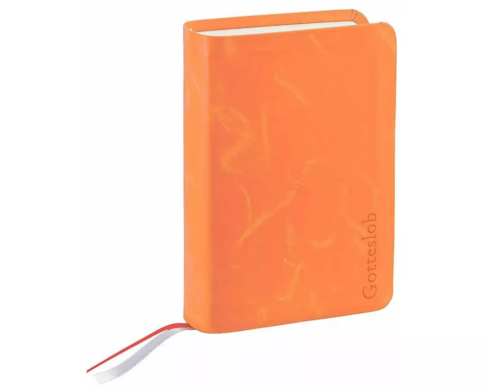 Gotteslob Taschenausgabe Region Ost. Cabra-Leder, terracotta
