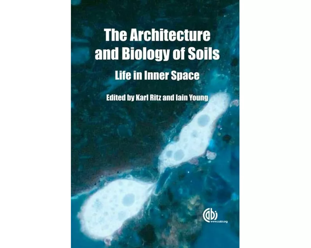 Architecture and Biology of Soils