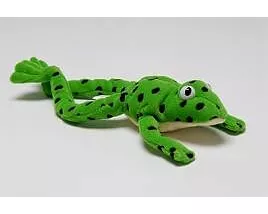 Read Write Inc. Phonics: Fred Frog Beanie