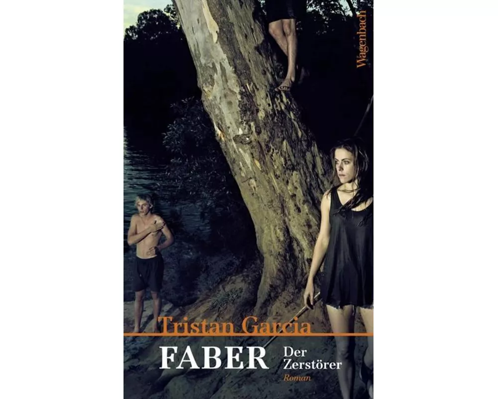 Faber. Der Zerstörer