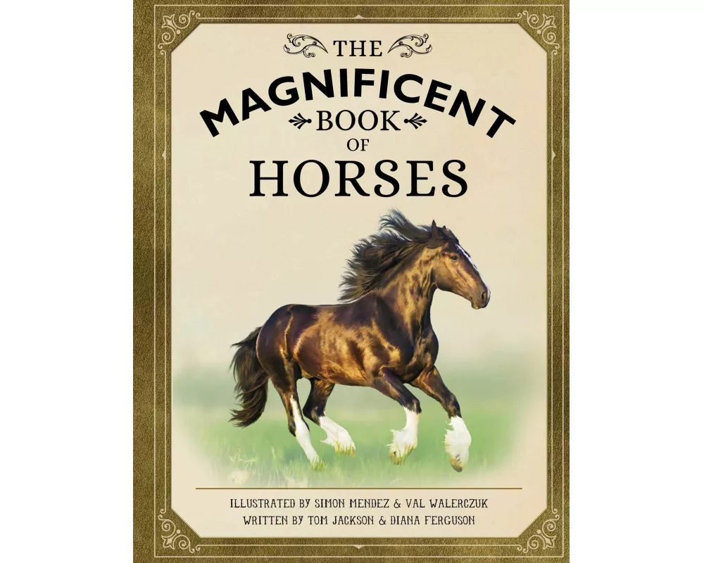 The Magnificent Book of Horses