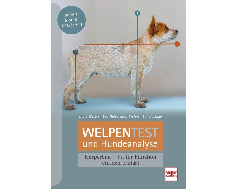 Welpentest und Hundeanalyse