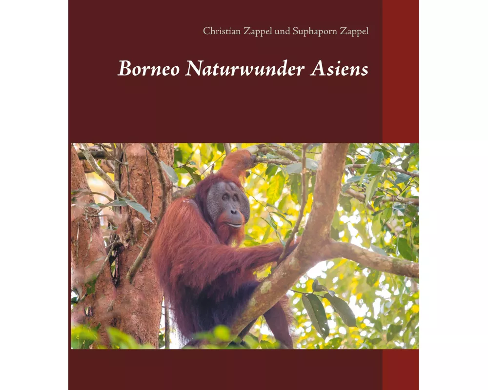 Borneo Naturwunder Asiens