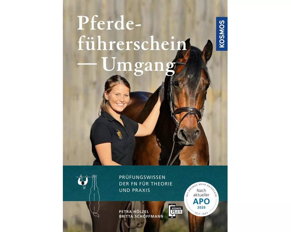 Pferdeführerschein Umgang