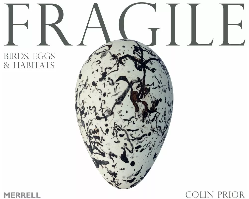 Fragile: Birds, Eggs & Habitats