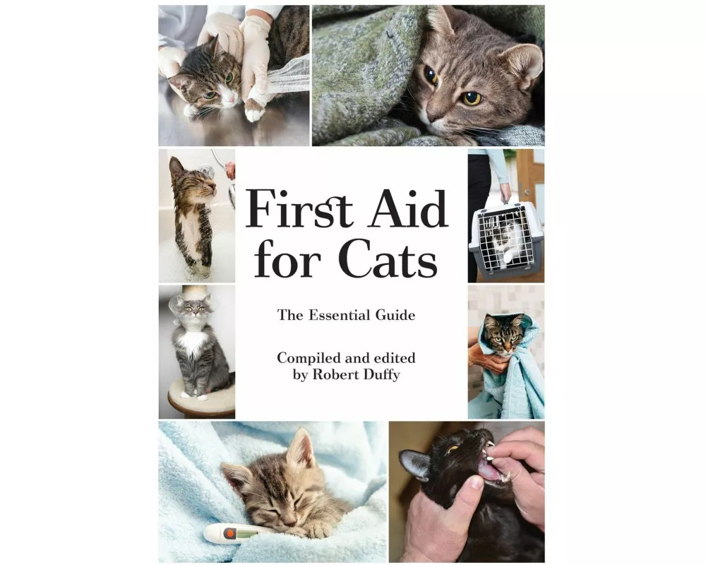 First Aid For Cats